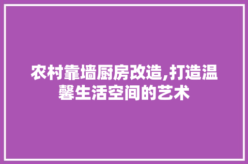农村靠墙厨房改造,打造温馨生活空间的艺术