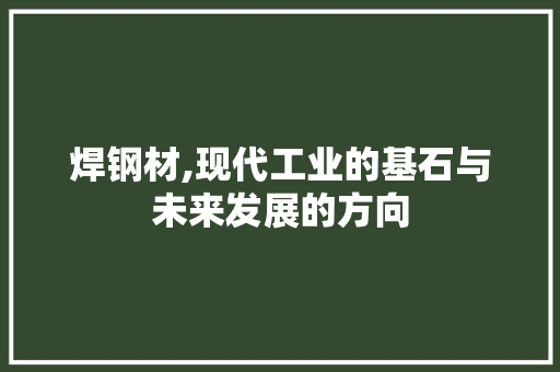 焊钢材,现代工业的基石与未来发展的方向