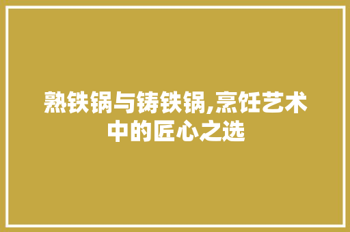 熟铁锅与铸铁锅,烹饪艺术中的匠心之选