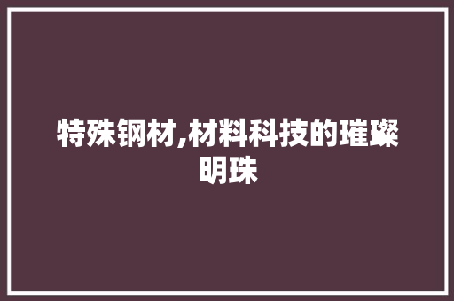 特殊钢材,材料科技的璀璨明珠