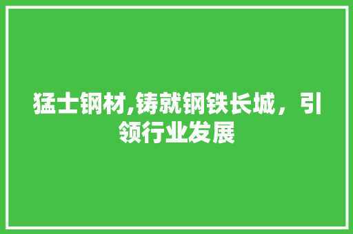 猛士钢材,铸就钢铁长城，引领行业发展
