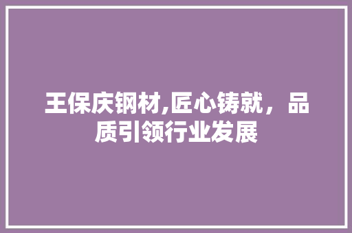 王保庆钢材,匠心铸就，品质引领行业发展