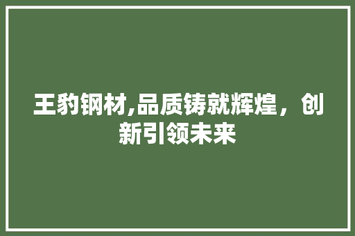 王豹钢材,品质铸就辉煌，创新引领未来