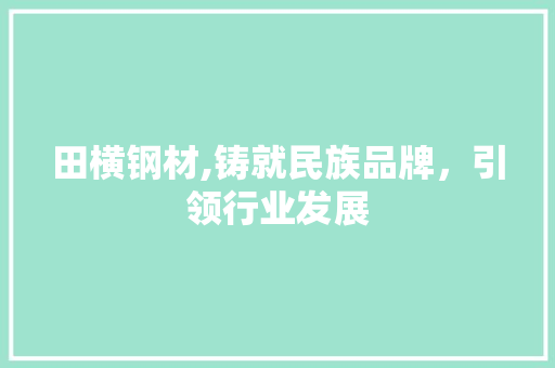 田横钢材,铸就民族品牌，引领行业发展