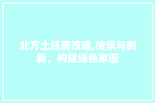 北方土坯房改造,传承与创新，构建绿色家园