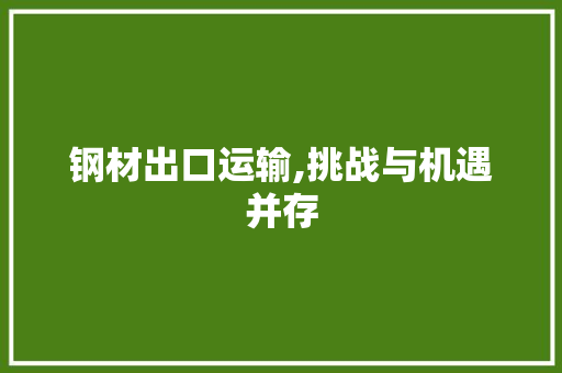 钢材出口运输,挑战与机遇并存