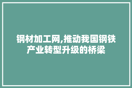 钢材加工网,推动我国钢铁产业转型升级的桥梁