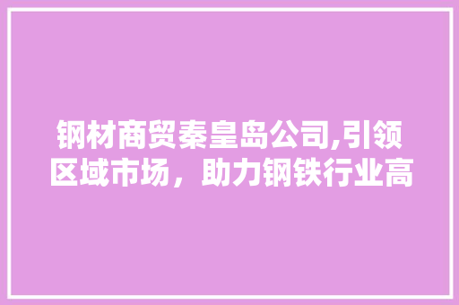 钢材商贸秦皇岛公司,引领区域市场，助力钢铁行业高质量发展