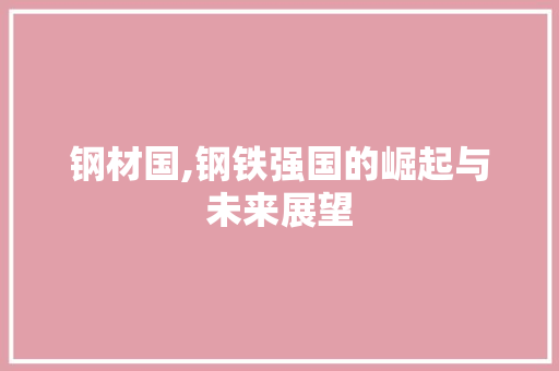 钢材国,钢铁强国的崛起与未来展望