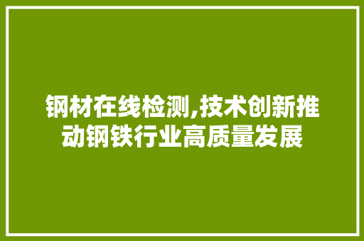 钢材在线检测,技术创新推动钢铁行业高质量发展