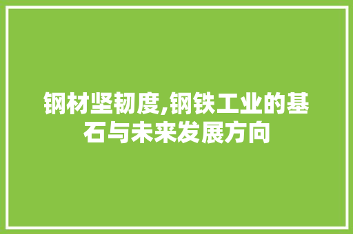 钢材坚韧度,钢铁工业的基石与未来发展方向