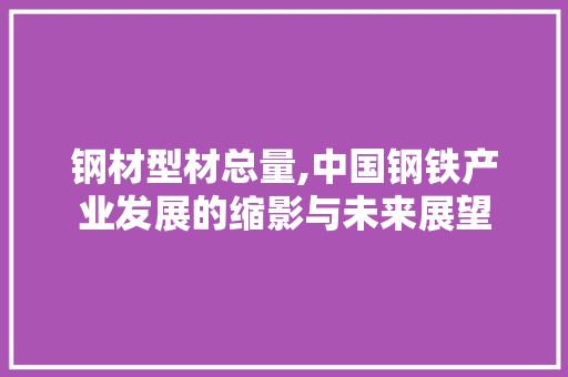 钢材型材总量,中国钢铁产业发展的缩影与未来展望