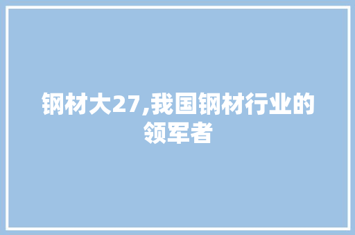 钢材大27,我国钢材行业的领军者