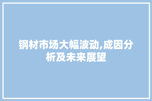 钢材市场大幅波动,成因分析及未来展望