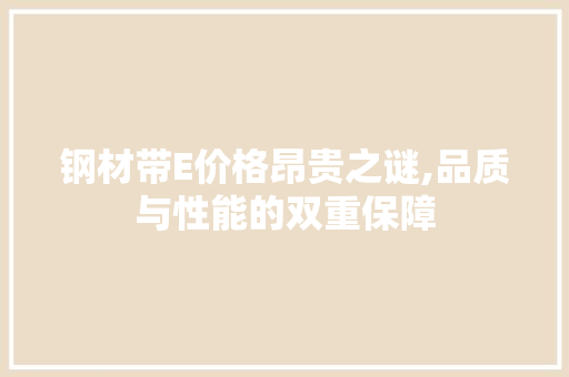 钢材带E价格昂贵之谜,品质与性能的双重保障