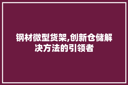 钢材微型货架,创新仓储解决方法的引领者