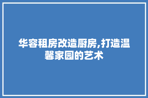 华容租房改造厨房,打造温馨家园的艺术