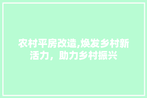 农村平房改造,焕发乡村新活力，助力乡村振兴