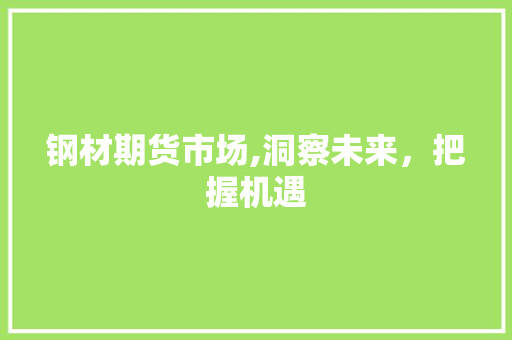 钢材期货市场,洞察未来，把握机遇