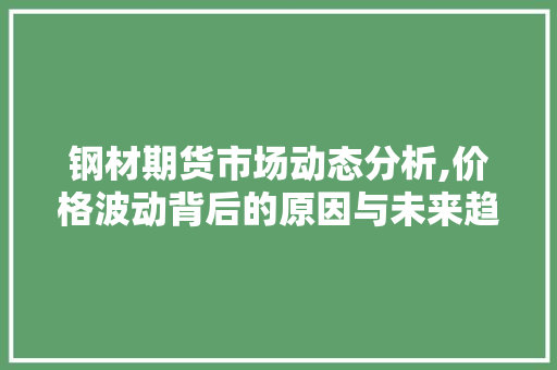 钢材期货市场动态分析,价格波动背后的原因与未来趋势