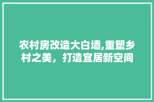 农村房改造大白墙,重塑乡村之美，打造宜居新空间