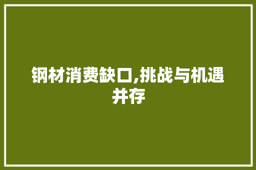 钢材消费缺口,挑战与机遇并存