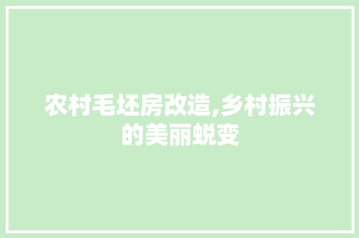 农村毛坯房改造,乡村振兴的美丽蜕变