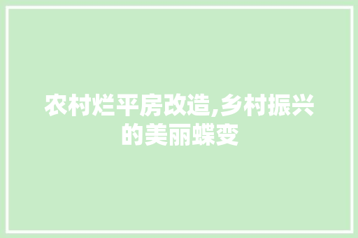 农村烂平房改造,乡村振兴的美丽蝶变