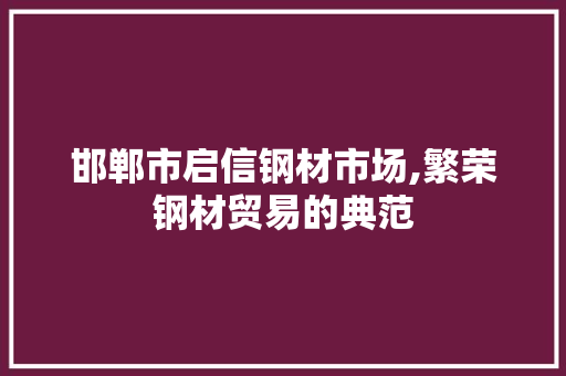 邯郸市启信钢材市场,繁荣钢材贸易的典范