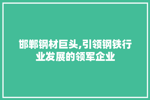 邯郸钢材巨头,引领钢铁行业发展的领军企业