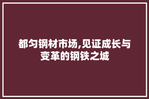 都匀钢材市场,见证成长与变革的钢铁之城