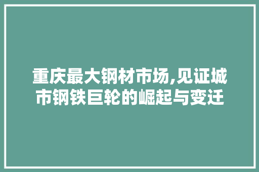 重庆最大钢材市场,见证城市钢铁巨轮的崛起与变迁