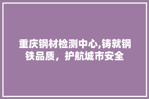 重庆钢材检测中心,铸就钢铁品质，护航城市安全