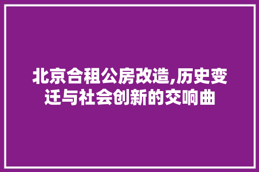北京合租公房改造,历史变迁与社会创新的交响曲