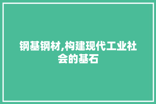 钢基钢材,构建现代工业社会的基石