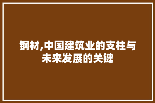 钢材,中国建筑业的支柱与未来发展的关键