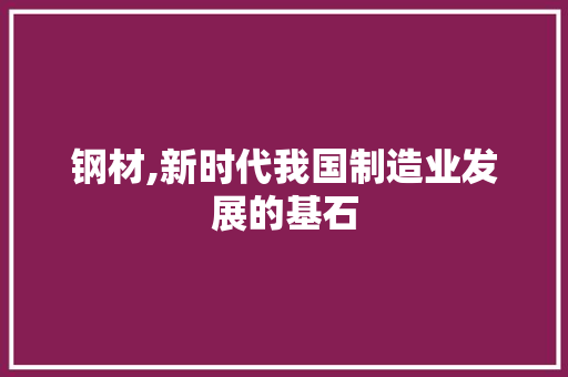 钢材,新时代我国制造业发展的基石