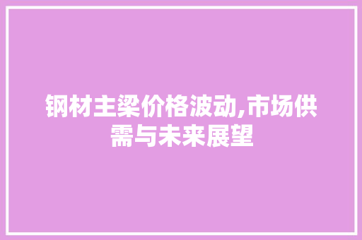 钢材主梁价格波动,市场供需与未来展望