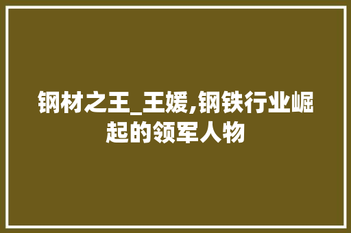 钢材之王_王媛,钢铁行业崛起的领军人物