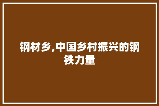 钢材乡,中国乡村振兴的钢铁力量