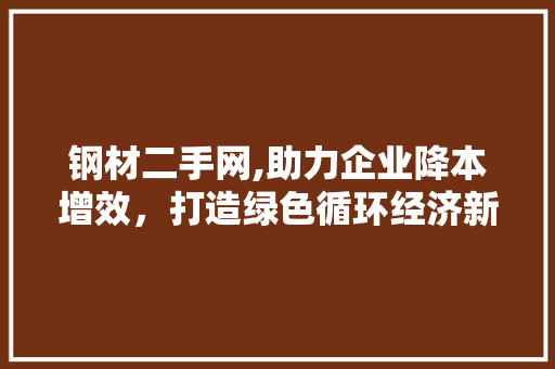 钢材二手网,助力企业降本增效，打造绿色循环经济新篇章