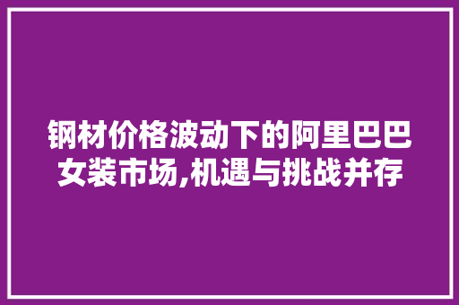 钢材价格波动下的阿里巴巴女装市场,机遇与挑战并存