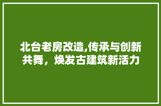 北台老房改造,传承与创新共舞，焕发古建筑新活力