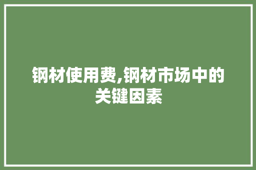钢材使用费,钢材市场中的关键因素