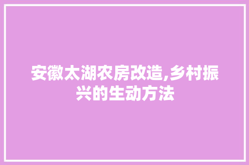 安徽太湖农房改造,乡村振兴的生动方法