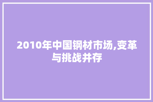 2010年中国钢材市场,变革与挑战并存