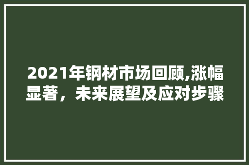 2021年钢材市场回顾,涨幅显著，未来展望及应对步骤