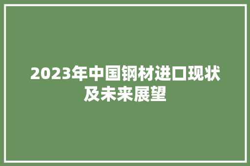 2023年中国钢材进口现状及未来展望