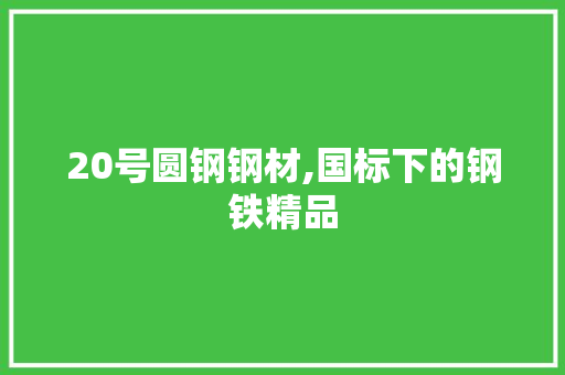 20号圆钢钢材,国标下的钢铁精品