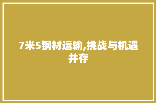 7米5钢材运输,挑战与机遇并存